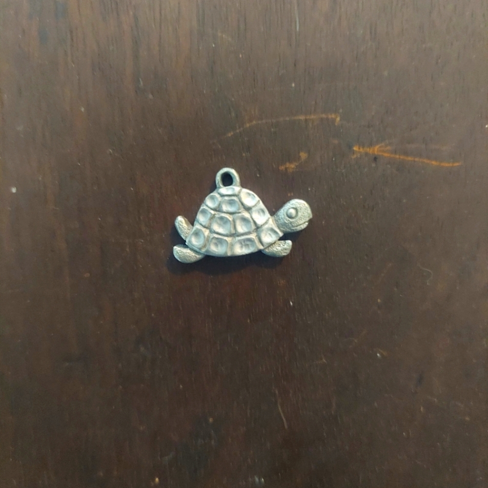 Turtle Charm